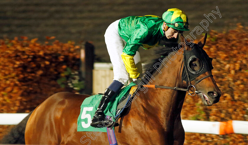 Grey s-Monument-0005 
 GREY'S MONUMENT (Hector Crouch) winner of The Irish Stallion Farms EBF Hyde Stakes
Kempton 6 Dec 2023 - Pic Steven Cargill / Racingfotos.com