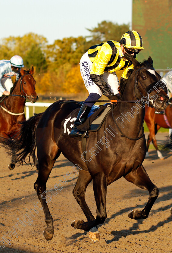 Livia-The-Empress-0005 
 LIVIA THE EMPRESS (David Probert)
Chelmsford 22 Oct 2020 - Pic Steven Cargill / Racingfotos.com