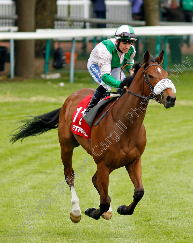 Celtic-Warrior-0001 
 CELTIC WARRIOR (Kieran O'Neill)
Haydock 25 May 2024 - Pic Steven cargill / Racingfotos.com