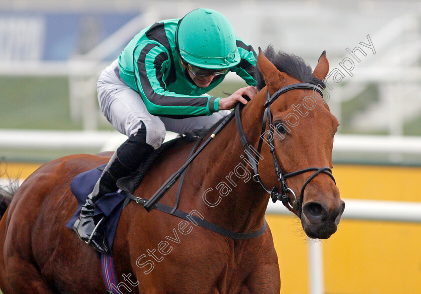 Banna-0007 
 BANNA (James Doyle) wins The Betfair Each Way Edge Novice Stakes
Doncaster 7 Nov 2020 - Pic Steven Cargill / Racingfotos.com