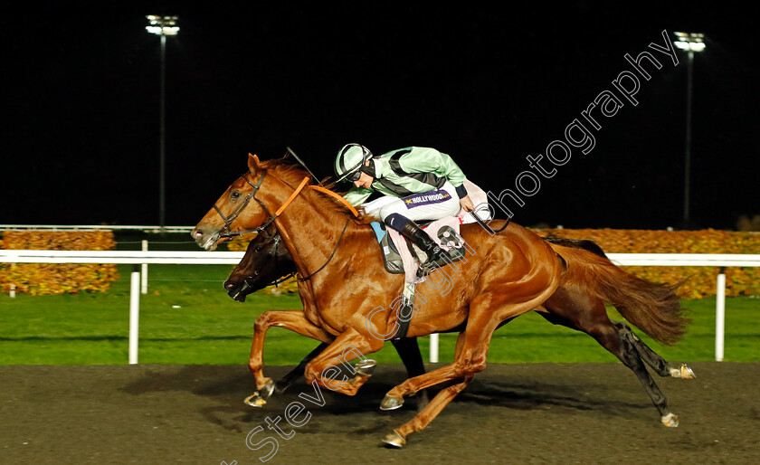 Like-A-Tiger-0002 
 LIKE A TIGER (Daniel Muscutt) wins The Unibet British Stallion Studs EBF Novice Stakes Div1
Kempton 16 Nov 2022 - Pic Steven Cargill / Racingfotos.com