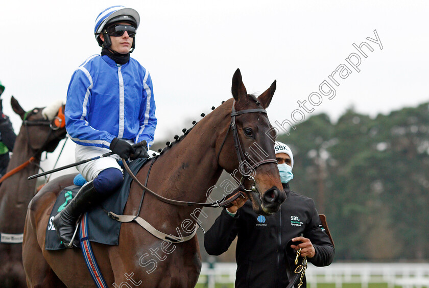 Energumene-0005 
 ENERGUMENE (Paul Townend)
Ascot 22 Jan 2022 - Pic Steven Cargill / Racingfotos.com