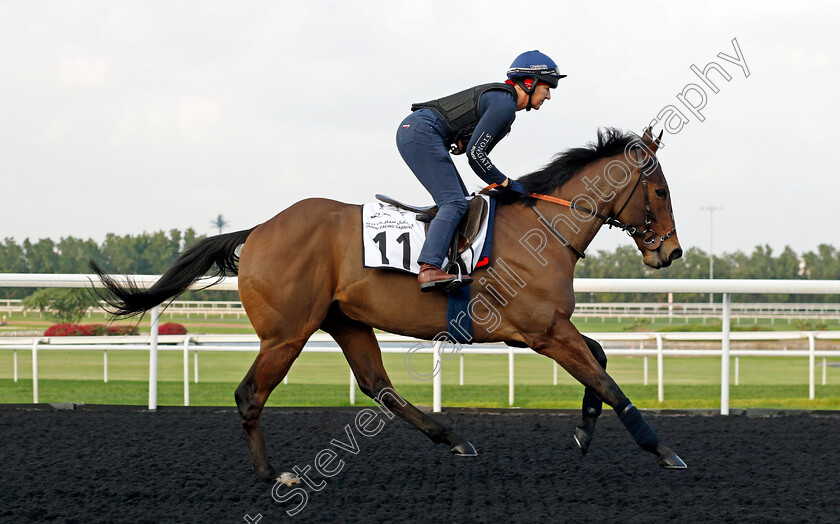 Equilateral-0001 
 EQUILATERAL training at the Dubai Racing Carnival 
Meydan 4 Jan 2024 - Pic Steven Cargill / Racingfotos.com