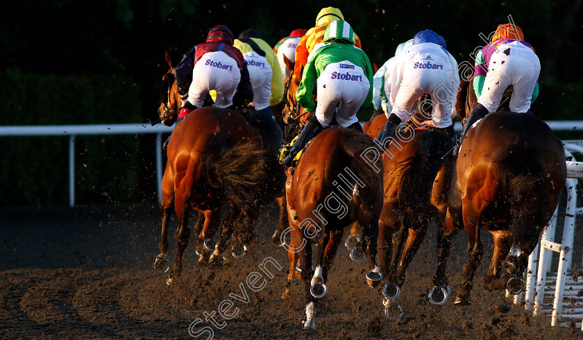 Kempton-0001 
 Action at Kempton
22 May 2019 - Pic Steven Cargill / Racingfotos.com