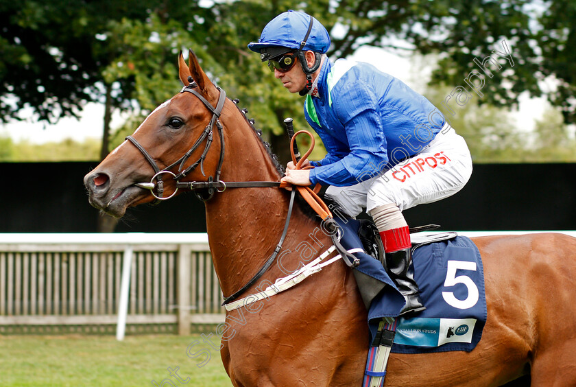 Eternal-Glory-0002 
 ETERNAL GLORY (Franny Norton)
Newmarket 31 Jul 2021 - Pic Steven Cargill / Racingfotos.com