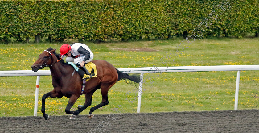 Gutsy-Girl-0005 
 GUTSY GIRL (Kieran Shoemark) wins The Unibet Zero% Mission Handicap
Kempton 16 Jul 2024 - Pic Steven Cargill / Racingfotos.com