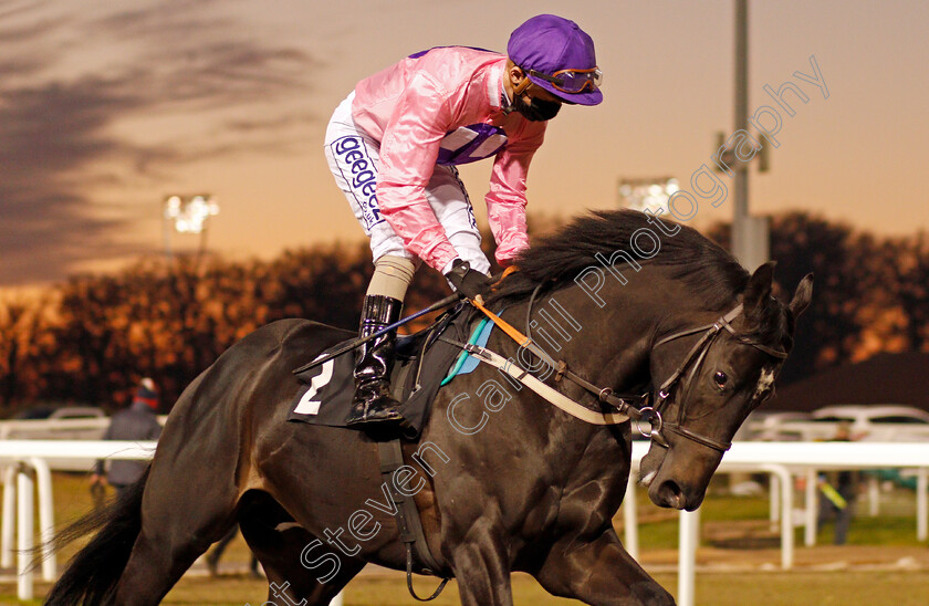 Hundon-0001 
 HUNDON (David Probert)
Chelmsford 26 Nov 2020 - Pic Steven Cargill / Racingfotos.com