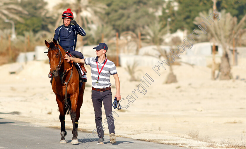 Fev-Rover-0006 
 FEV ROVER (Paddy Mathers) exercising in preparation for Friday's Bahrain International Trophy
Sakhir Racecourse, Bahrain 17 Nov 2021 - Pic Steven Cargill / Racingfotos.com