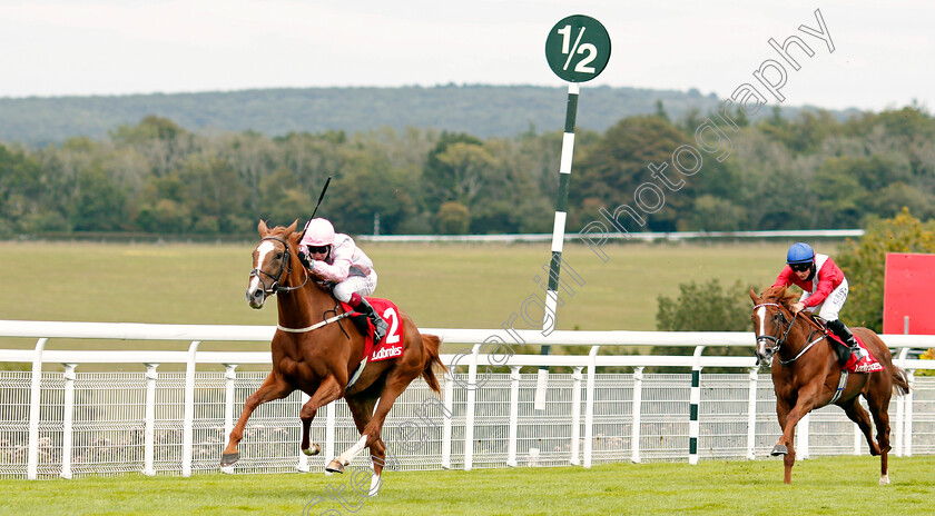 Urban-Artist-0002 
 URBAN ARTIST (Oisin Murphy) wins The Ladbrokes Best Odds Guaranteed Fillies Handicap
Goodwood 30 Aug 2020 - Pic Steven Cargill / Racingfotos.com