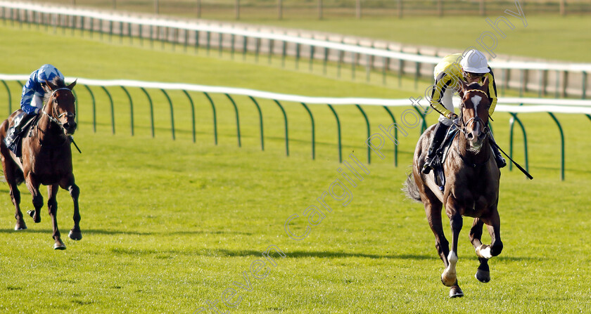 Burdett-Road-0005 
 BURDETT ROAD (Harry Davies) wins The Al Basti Equiworld Dubai Godolphin Stakes
Newmarket 27 Sep 2024 - Pic Steven Cargill / Racingfotos.com