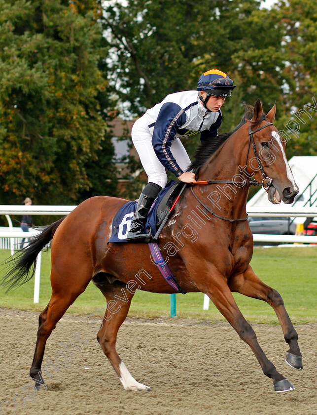 The-Way-You-Dance-0001 
 THE WAY YOU DANCE (Rhys Clutterbuck)
Lingfield 3 Oct 2019 - Pic Steven Cargill / Racingfotos.com