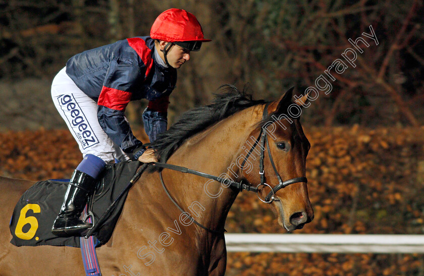 Muhtashim 
 MUHTASHIM (Marco Ghiani) 
Kempton 2 Mar 2022 - Pic Steven Cargill / Racingfotos.com