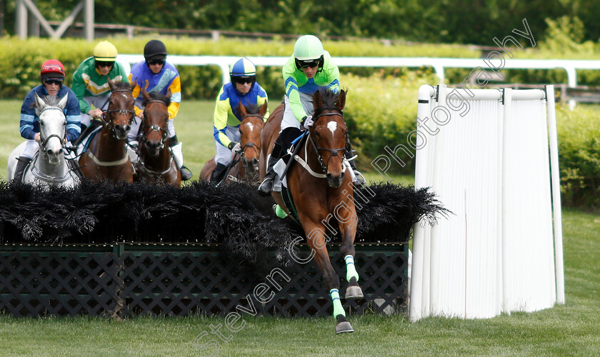 Whitman s-Poetry-0001 
 WHITMAN'S POETRY (Willie McCarthy)
Percy Warner Park, Nashville USA, 12 May 2018 - Pic Steven Cargill / Racingfotos.com