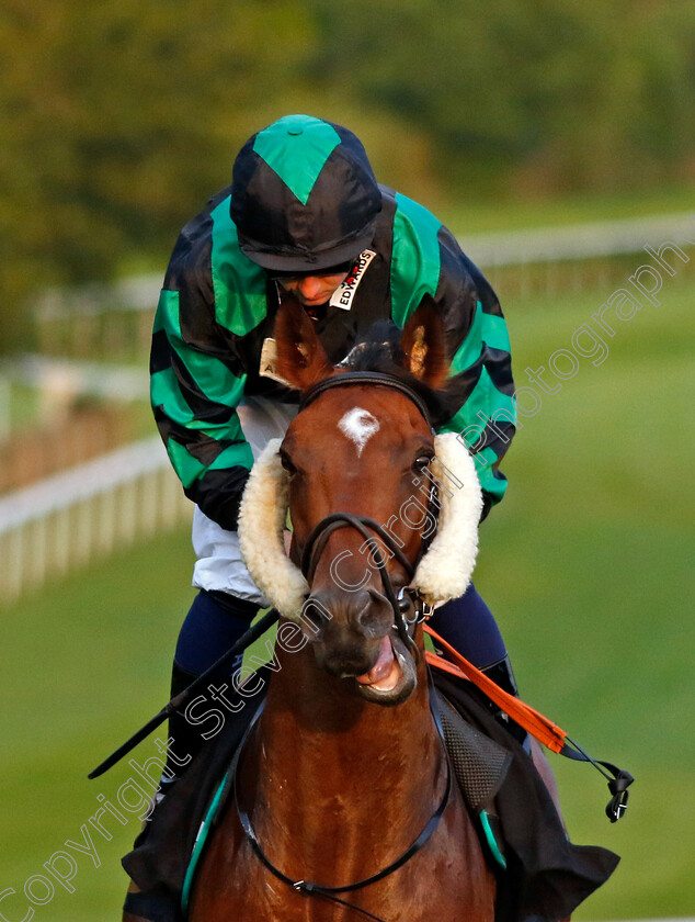 Dion-Baker-0001 
 DION BAKER (Adam Farragher)
Newmarket 4 Aug 2023 - Pic Steven Cargill / Racingfotos.com