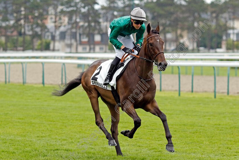 Kenstill-0001 
 KENSTILL (E Carallo)
Deauville 3 Aug 2024 - Pic Steven Cargill / Racingfotos.com