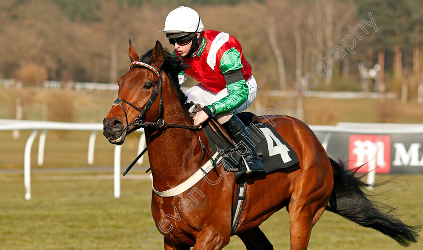 Rooster-Cogburn-0003 
 ROOSTER COGBURN (Sean Bowen) wins The Mansionbet Proud To Support British Racing Handicap Chase
Market Rasen 19 Apr 2021 - Pic Steven Cargill / Racingfotos.com