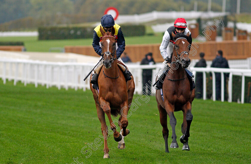 Cadeau-D Or-and-Golden-Rules-0001 
 CADEAU D'OR (left, Oisin Murphy) and GOLDEN RULES (right, Martin Harley)
Ascot 2 Oct 2020 - Pic Steven Cargill / Racingfotos.com