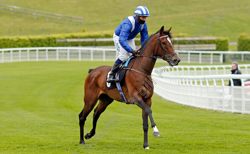 Talbeyah-0001 
 TALBEYAH (Jim Crowley)
Goodwood 21 May 2021 - Pic Steven Cargill / Racingfotos.com