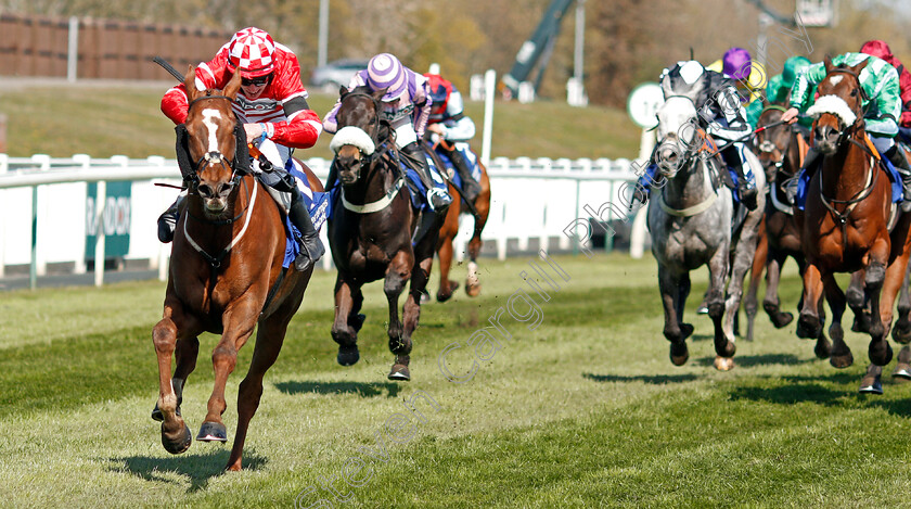 Tronador-0001 
 TRONADOR (Jack Kennedy) wins The Pertemps Network Handicap Hurdle
Aintree 9 Apr 2021 - Pic Steven Cargill / Racingfotos.com