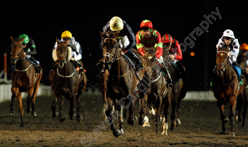 Ply-0006 
 PLY (Kieran Shoemark) wins The 100% Profit Boost At 32Redsport.com Handicap Kempton 4 Oct 2017 - Pic Steven Cargill / Racingfotos.com