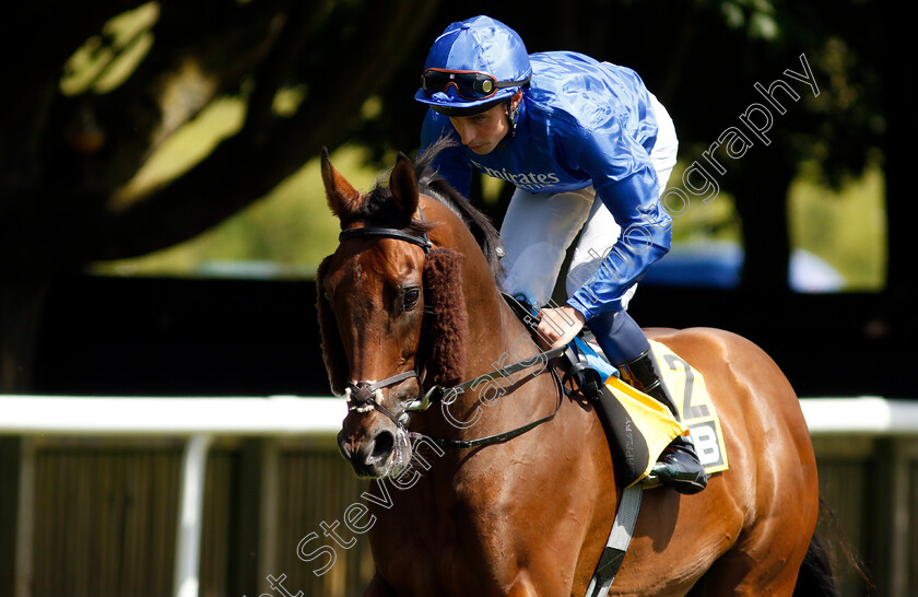 King-Of-Conquest-0007 
 KING OF CONQUEST (William Buick) winner of The JCB Fred Archer Stakes
Newmarket 29 Jun 2024 - Pic Steven Cargill / Racingfotos.com