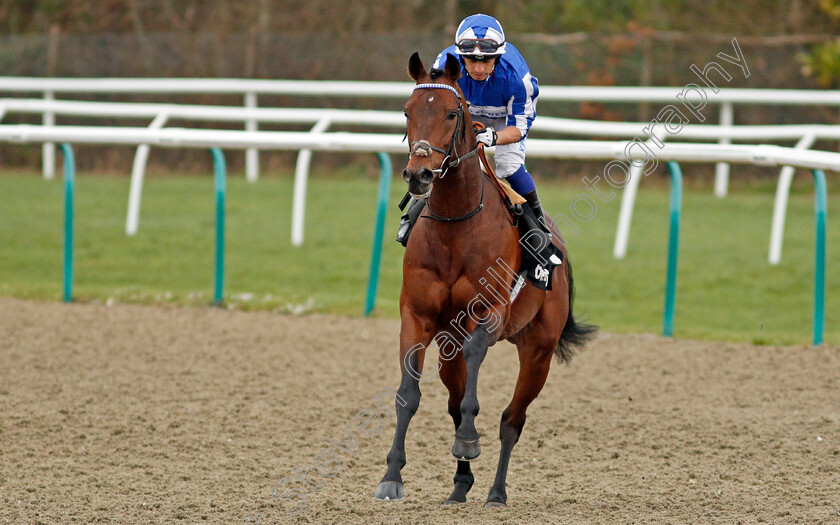 Bangkok-0001 
 BANGKOK (Silvestre De Sousa)
Lingfield 22 Feb 2020 - Pic Steven Cargill / Racingfotos.com