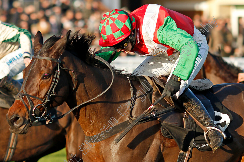 Spiritofthegames-0001 
 SPIRITOFTHEGAMES (Bridget Andrews)
Cheltenham 14 Dec 2019 - Pic Steven Cargill / Racingfotos.com