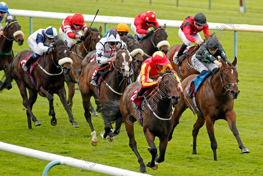 Lil-Guff-0004 
 LIL GUFF (James Doyle) wins The Cazoo Edge Green Handicap
Haydock 21 May 2022 - Pic Steven Cargill / Racingfotos.com