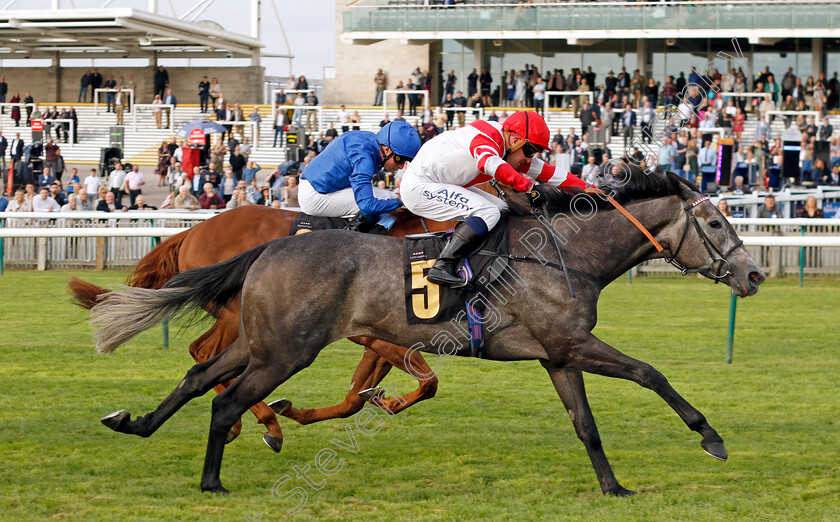 Ashky-0002 
 ASHKY (Jim Crowley) wins The Lifetime In Racing Awards Handicap
Newmarket 22 Sep 2022 - Pic Steven Cargill / Racingfotos.com