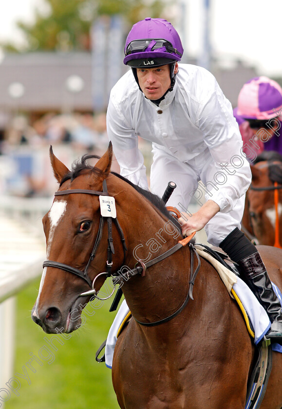 Dreams-Of-Thunder-0001 
 DREAMS OF THUNDER (Barry McHugh)
York 19 Aug 2021 - Pic Steven Cargill / Racingfotos.com