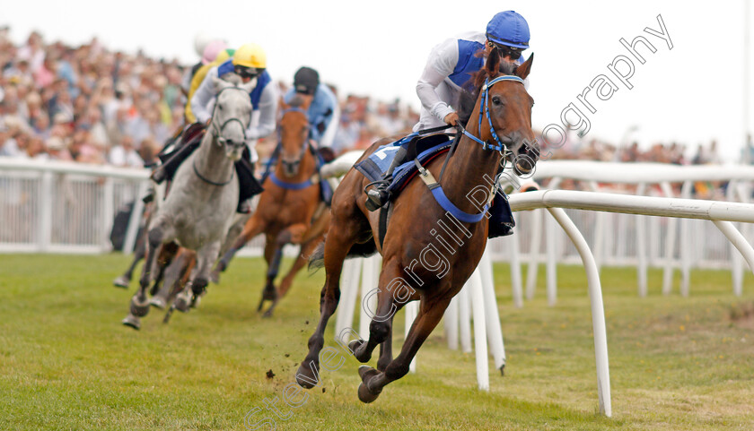 Island-Song-0002 
 ISLAND SONG (Freddy Tett)
Les Landes Jersey 26 Aug 2019 - Pic Steven Cargill / Racingfotos.com