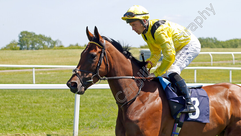 Tarrabb 
 TARRABB (Ray Dawson)
Chepstow 27 May 2022 - Pic Steven Cargill / Racingfotos.com