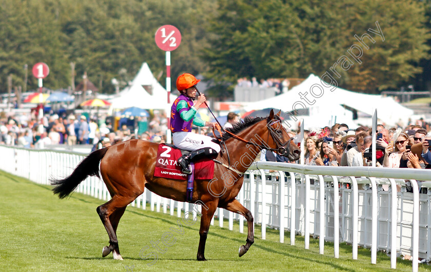 Lady-Bowthorpe-0010 
 LADY BOWTHORPE (Kieran Shoemark) after The Qatar Nassau Stakes
Goodwood 29 Jul 2021 - Pic Steven Cargill / Racingfotos.com