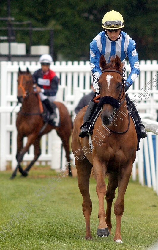 Narak-0011 
 NARAK (Harry Bentley)
Newbury 13 Jun 2019 - Pic Steven Cargill / Racingfotos.com