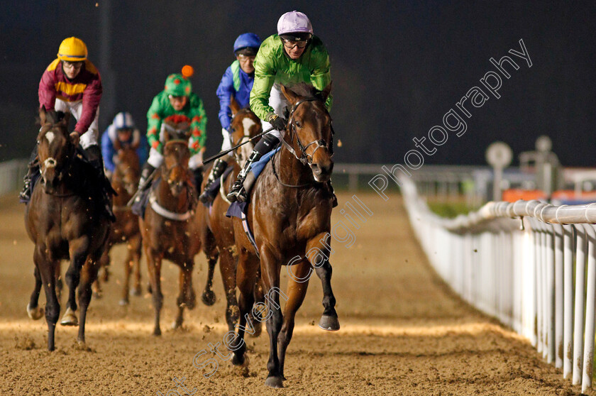 Uncle-Bryn-0007 
 UNCLE BRYN (Robert Havlin) wins The Ladbrokes Watch Racing Online For Free EBF Novice Stakes
Wolverhampton 24 Nov 2020 - Pic Steven Cargill / Racingfotos.com