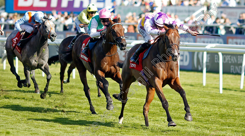 Kinross-0003 
 KINROSS (Rossa Ryan) wins The Betfred Park Stakes
Doncaster 14 Sep 2024 - Pic Steven Cargill / Racingfotos.com