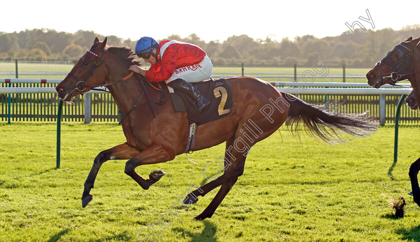 Bashkirova-0004 
 BASHKIROVA (Tom Marquand) wins The Devils Dyke Fillies Handicap
Newmarket 20 Oct 2021 - Pic Steven Cargill / Racingfotos.com