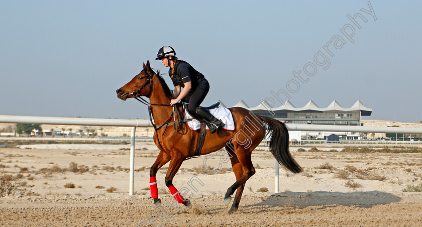 Lady-Wannabe-0002 
 LADY WANNABE training for the Bahrain International Trophy
Rashid Equestrian & Horseracing Club, Bahrain, 19 Nov 2020 - Pic Steven Cargill / Racingfotos.com