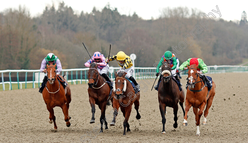 Ornate-0001 
 ORNATE (centre, Phil Dennis) beats LIHOU (left) HAN SOLO BERGER (2nd left) ROYAL BIRTH (2nd right) and TONE THE BARONE (right) in The Betway Handicap
Lingfield 6 Mar 2021 - Pic Steven Cargill / Racingfotos.com