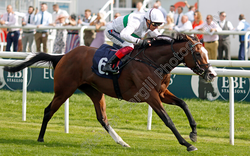 Free-Wind-0004 
 FREE WIND (Frankie Dettori) wins The Hippo Pro3 Park Hill Stakes
Doncaster 9 Sep 2021 - Pic Steven Cargill / Racingfotos.com