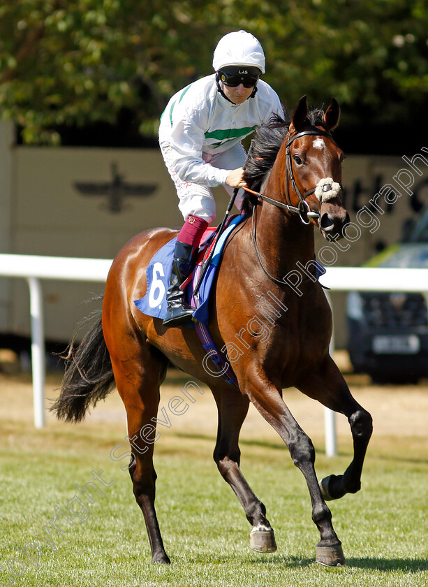 Zaakara-0002 
 ZAAKARA (Cieren Fallon)
Salisbury 11 Aug 2022 - Pic Steven Cargill / Racingfotos.com