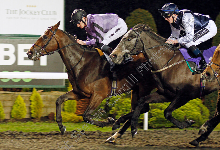 Covert-Mission-0004 
 COVERT MISSION (left, Daniel Muscutt) beats MABRE (right) in The Join Racing TV Now Handicap Div2
Kempton 16 Feb 2022 - Pic Steven Cargill / Racingfotos.com