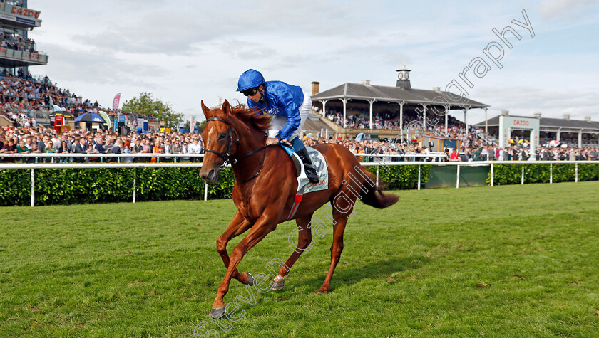 Hurricane-Lane-0005 
 HURRICANE LANE (William Buick) winner of The Cazoo St Leger
Doncaster 11 Sep 2021 - Pic Steven Cargill / Racingfotos.com