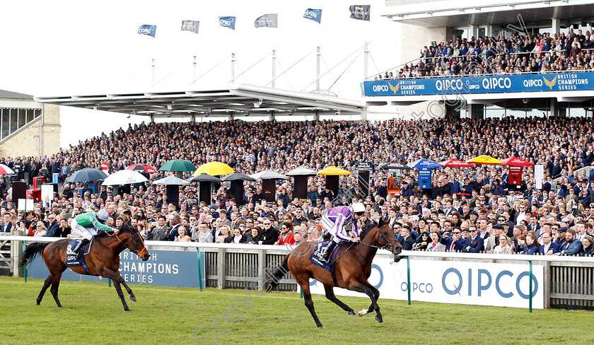 Magna-Grecia-0004 
 MAGNA GRECIA (Donnacha O'Brien) beats KING OF CHANGE (left) in The Qipco 2000 Guineas
Newmarket 4 May 2019 - Pic Steven Cargill / Racingfotos.com