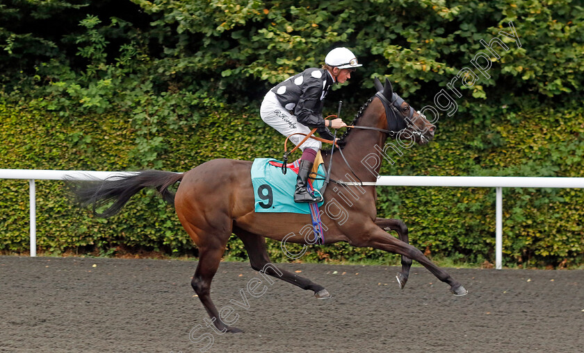 Groovy-Baby-0001 
 GROOVY BABY (Rob Hornby)
Kempton 7 Aug 2024 - Pic Steven Cargill / Racingfotos.com