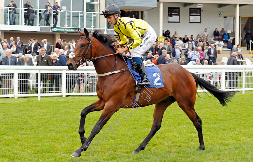 Mr-Freedom-0001 
 MR FREEDOM (George Bass)
Salisbury 2 Sep 2021 - Pic Steven Cargill / Racingfotos.com