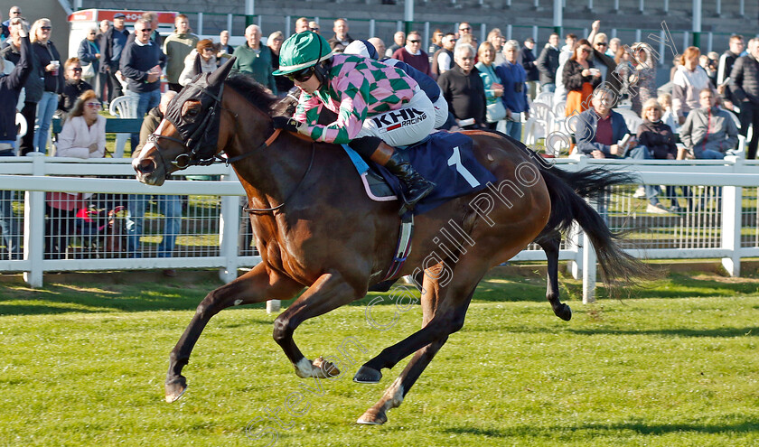 Aunt-Violet-0003 
 AUNT VIOLET (Saffie Osborne) wins The British EBF Fillies Novice Stakes
Yarmouth 18 Oct 2022 - Pic Steven Cargill / Racingfotos.com