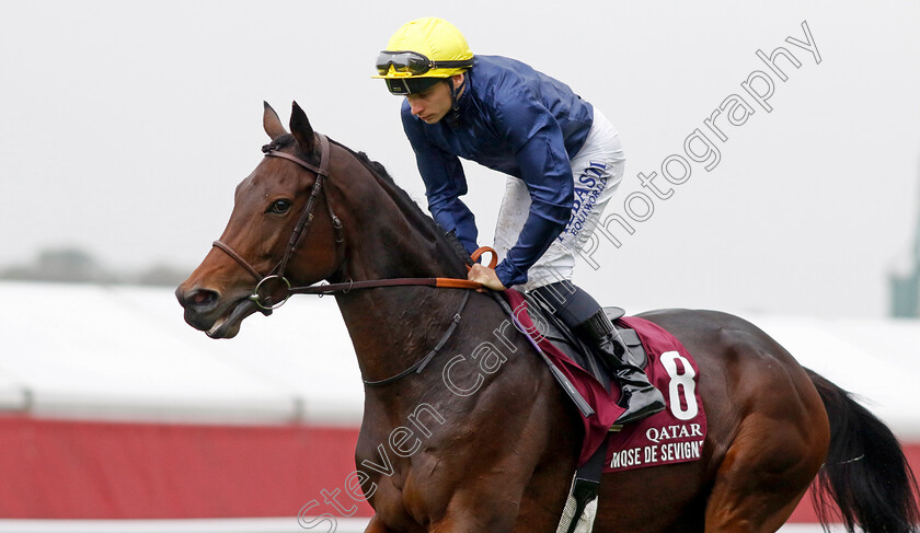 Mqse-De-Sevigne-0001 
 MQSE DE SEVIGNE (A Pouchin)
Longchamp 6 Oct 2024 - Pic Steven Cargill / Racingfotos.com