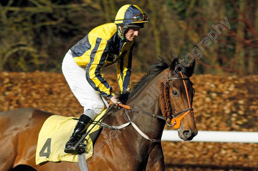 Irish-Acclaim-0001 
 IRISH ACCLAIM (Liam Keniry) winner of The 32Red On The App Store Maiden Stakes Div2
Kempton 19 Feb 2020 - Pic Steven Cargill / Racingfotos.com