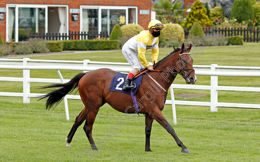 Secret-Handsheikh-0001 
 SECRET HANDSHEIKH (Andrea Atzeni)
Lingfield 2 Sep 2020 - Pic Steven Cargill / Racingfotos.com